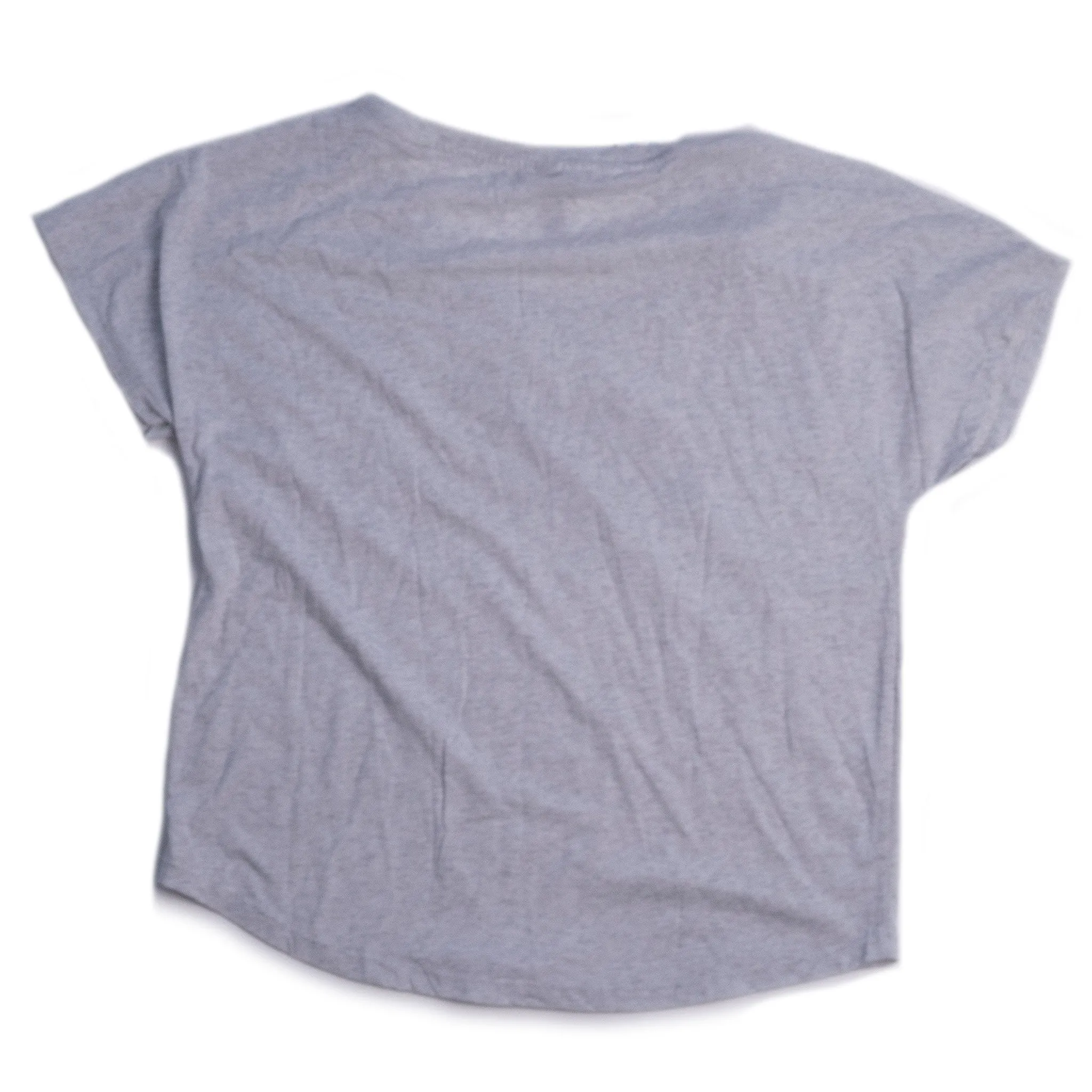 Evolution Loose Fitting T-Shirt - Gray