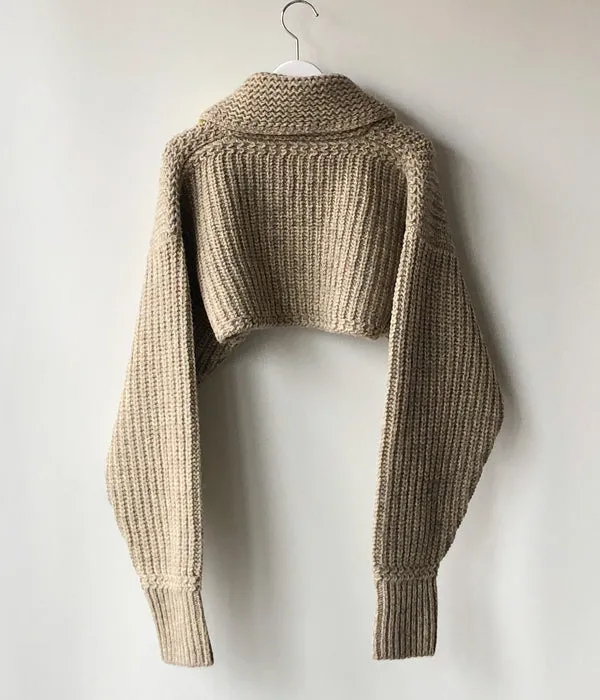 FUMIKA_UCHIDA/3G Mix Shetland/SHAWL-COLLAR SLEEVE SWEATER(YELBGE/BANANA)